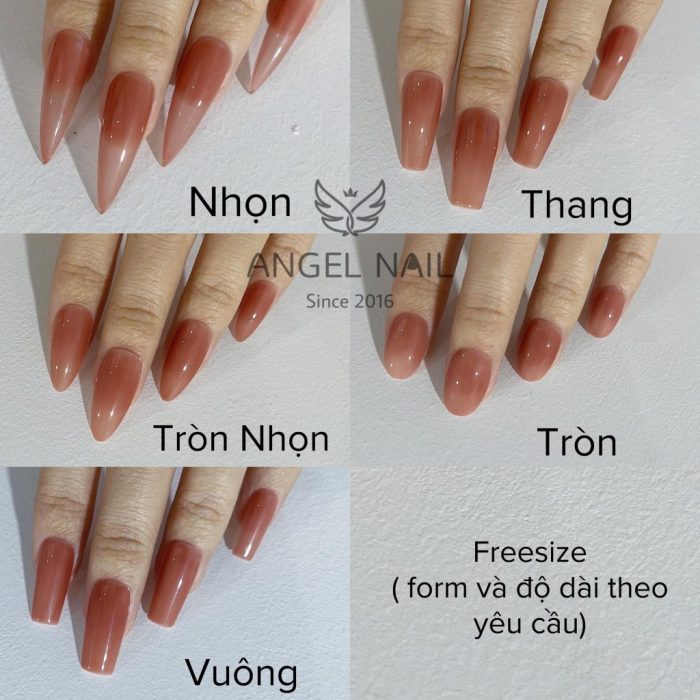 Các loại shape móng tay