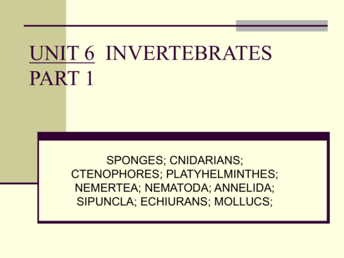 Section 28 4 echinoderms answer key