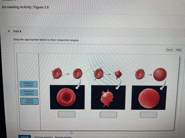 Art labeling activity figure 25.3 b