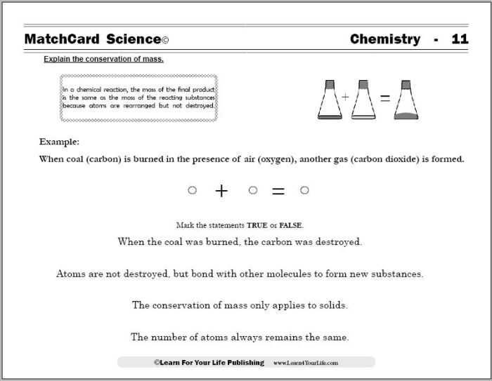 Worksheet law of conservation of mass