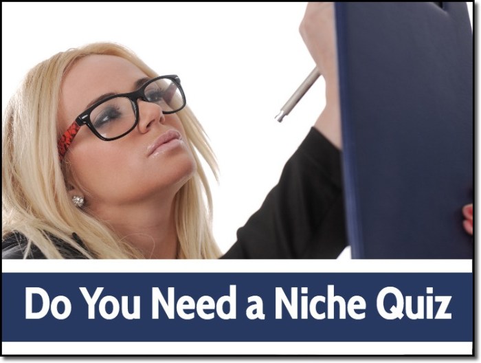 What is my influencer niche quiz