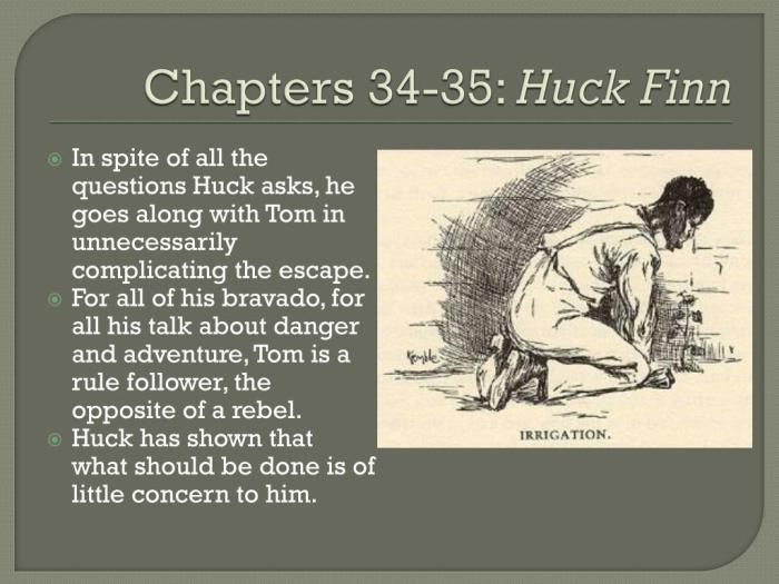 Summary of huckleberry finn chapters