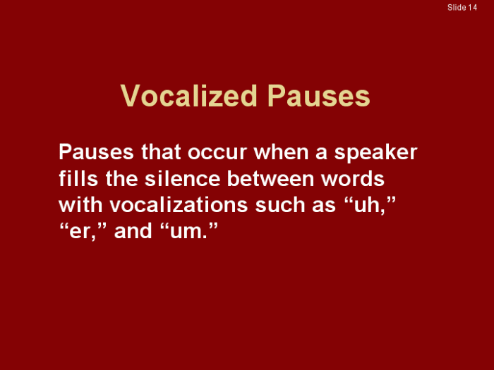 What is a vocalized pause