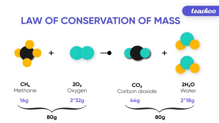 Conservation mass worksheet law