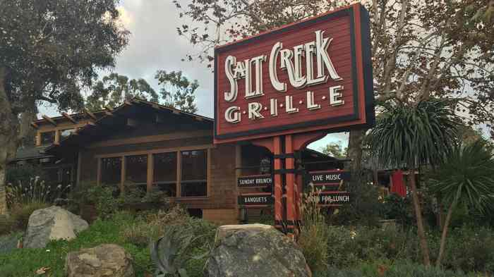 Grille salt creek