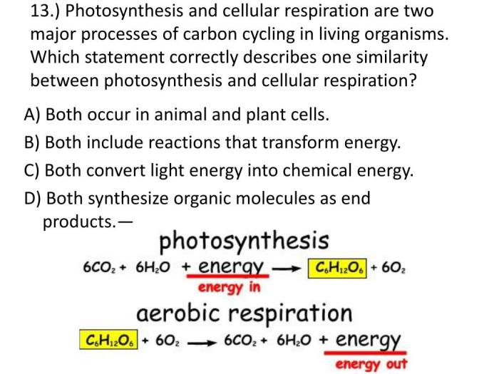 Keystone exam biology review packet