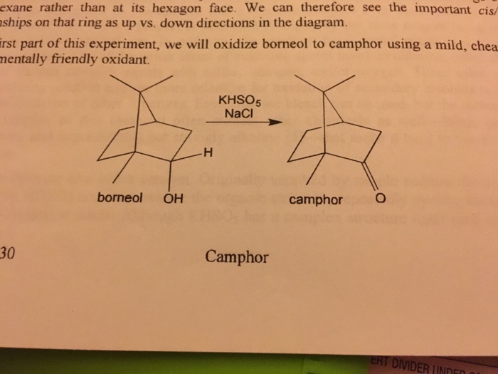 Green oxidation of borneol to camphor with oxone