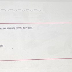 Which of the designations are accurate for the fatty acid