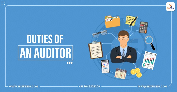 Accountant who inspects the records of a business