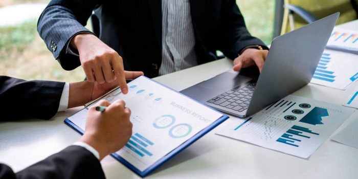 Accountant who inspects the records of a business