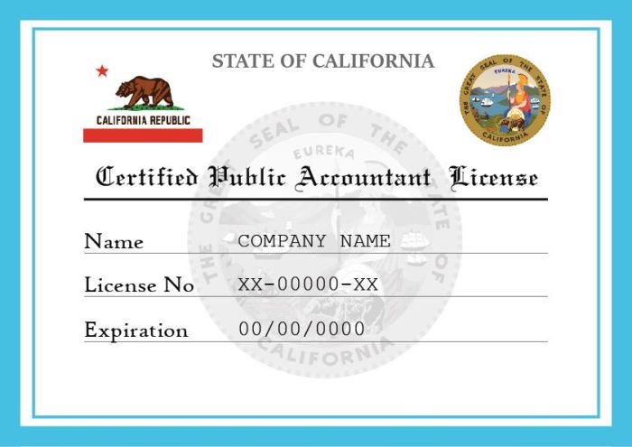 Katey is a california cpa practicing in california