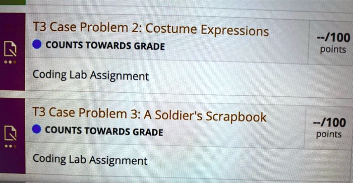 T3 case problem 2 costume expressions